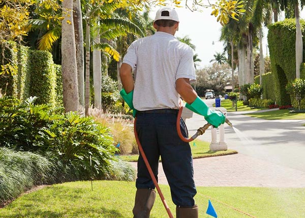 About Lambrook AR Pest Control Pros